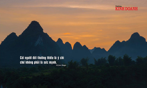 Những câu danh ngôn về ý chí nghị lực