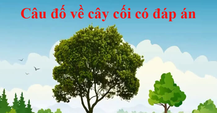 Câu Đố Về Cây Xanh: Giải Đáp và Những Câu Đố Thú Vị Gallery 1