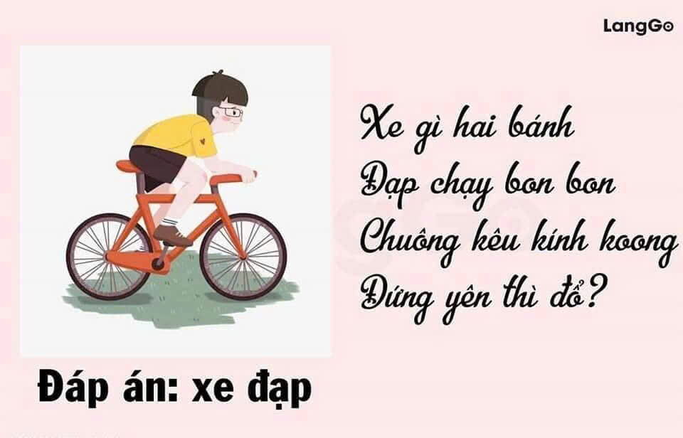 Câu Đố Về Xe Đạp: Giải Đáp và Những Câu Đố Thú Vị Khác Gallery 1