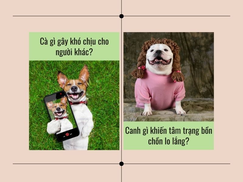 Câu Đố Vui... Cười Đau Bụng Gallery 2