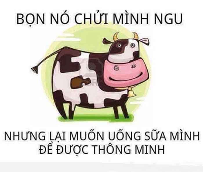 Câu Hỏi Trắc Nghiệm Hài Hước Kiểm Tra Óc Sang Tạo Của Bạn