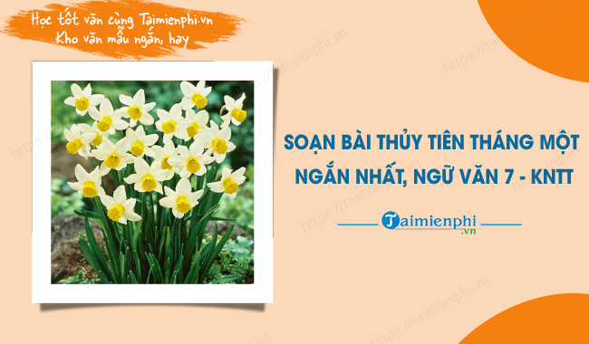 Soạn bài Thủy Tiên tháng 1 ngắn nhất Gallery 2