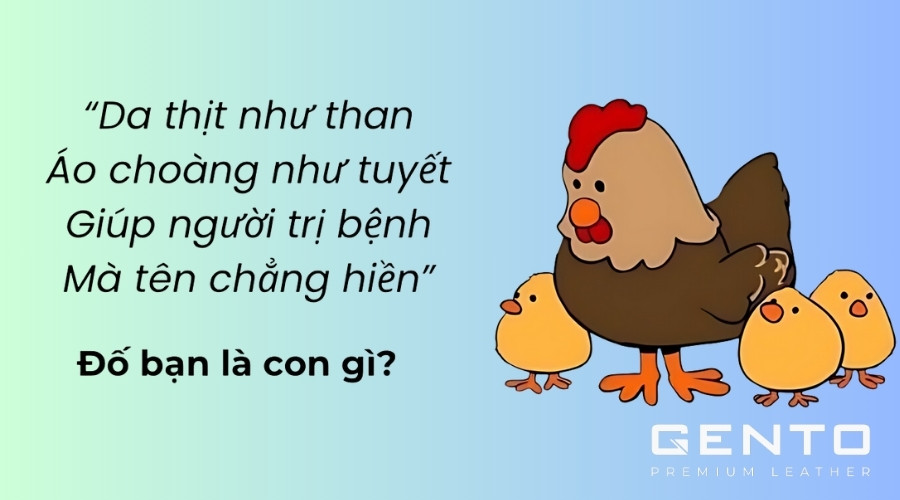 Những Câu Hỏi Hay Để Hỏi Bạn Bè Gallery 2