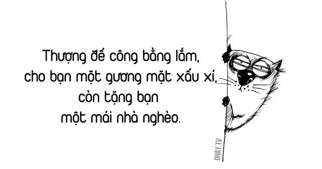 Những Câu Nói Đạo Lý Hài Hước, Ngắn Gọn, Đúng Chất "Thánh Giả"