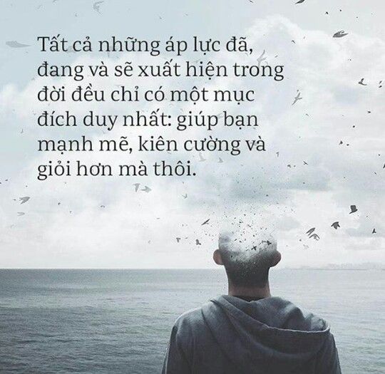 Những Câu Nói Giúp Bạn Mạnh Mẽ Hơn