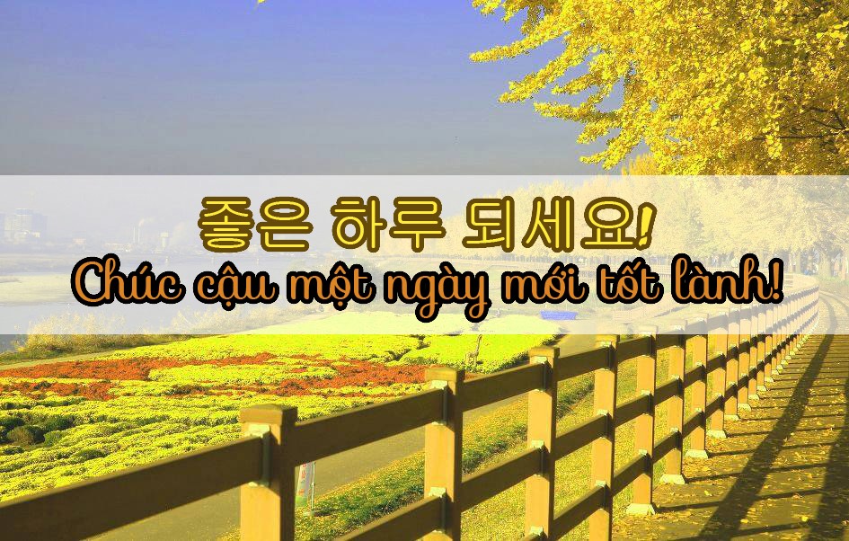 Những Câu Nói Hay Tiếng Hàn Cùng Nghĩa Việt Dễ Học