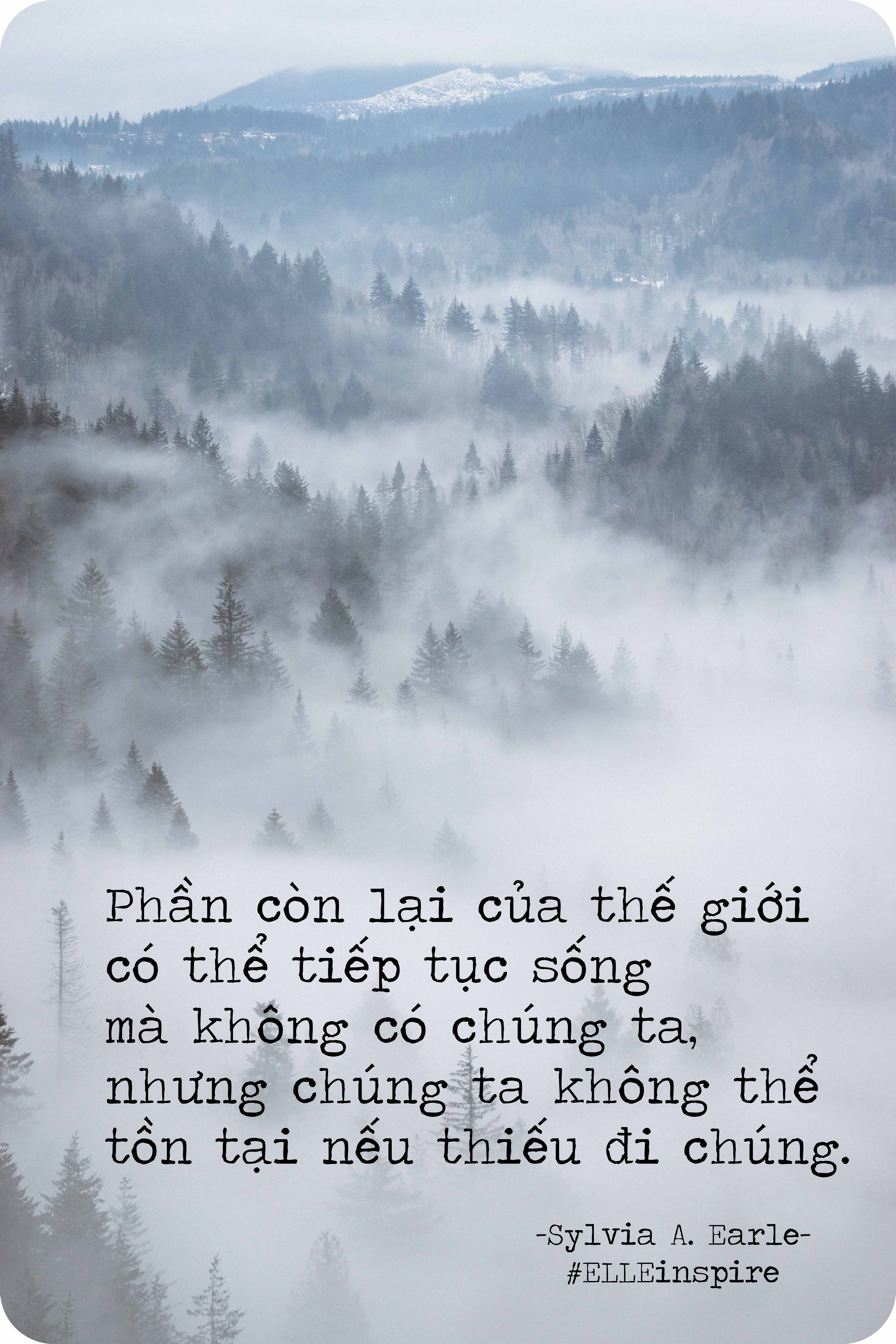 Những Câu Nói Hay Về Bảo Vệ Môi Trường