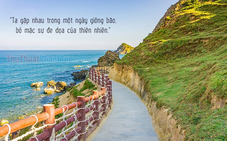 Những Câu Nói Hay Về Cảnh Đẹp