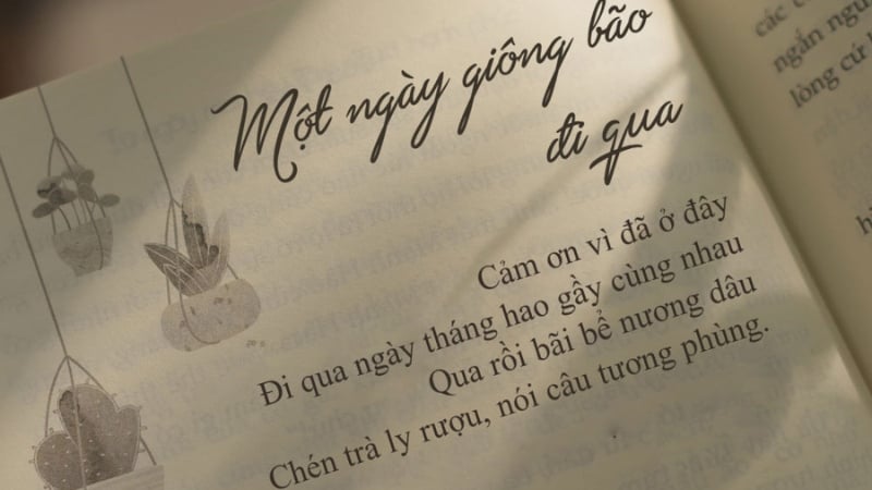 Câu Nói Hay Trong Tiểu Thuyết: Những Trích Dẫn Truyền Cảm Hứng Gallery 2