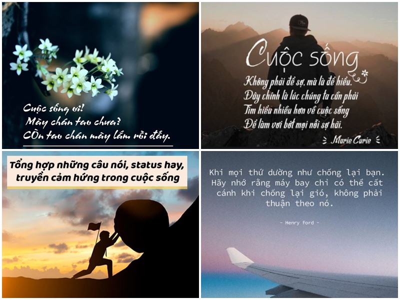 STT Câu Nói Hay Về Cuộc Sống: Lời Khích Lệ, Suy Ngẫm Và Cảm Hứng Gallery 2