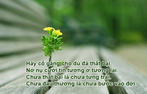Những Câu Nói Hay Về Làm Việc Tốt Gallery 2