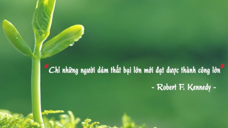 Những Câu Nói Hay Về Lao Động