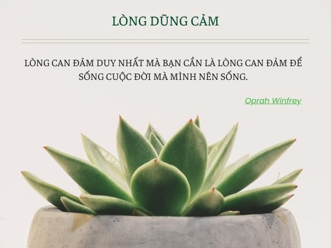 Những Câu Nói Hay Về Lòng Dũng Cảm Gallery 2