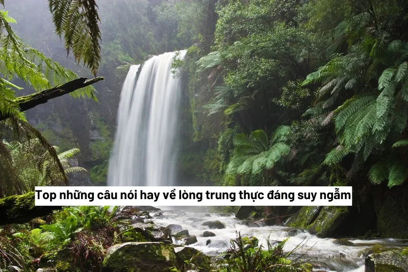 Những Câu Nói Hay Về Lòng Trung Thực