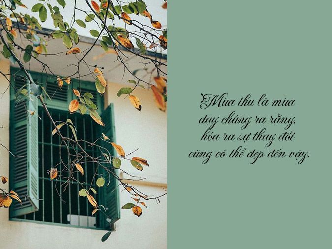 Những Câu Nói Hay Về Mùa Thu Gallery 1