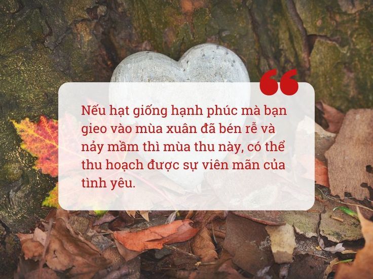 Những Câu Nói Hay Về Mùa Thu Gallery 2