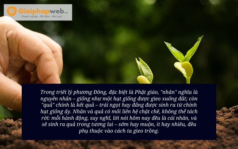 Những Câu Nói Hay Về Nhân Quả Báo Ứng Gallery 1
