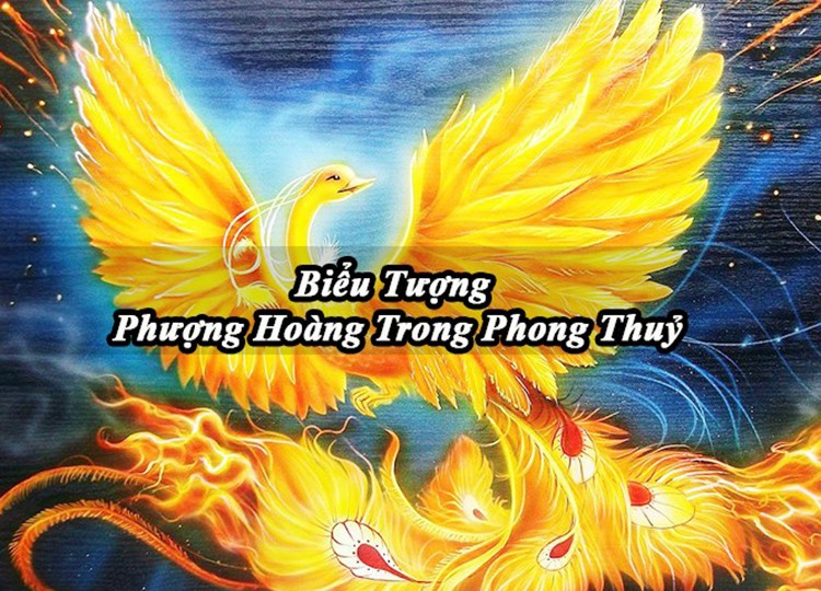 Những Câu Nói Hay Về Phượng Hoàng Lửa