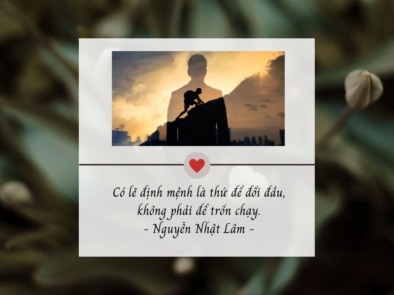 Những Câu Nói Hay Về Số Phận