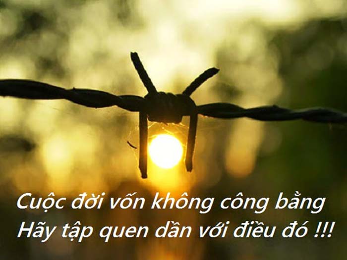 Những câu nói hay về sự bất công trong công việc Gallery 2