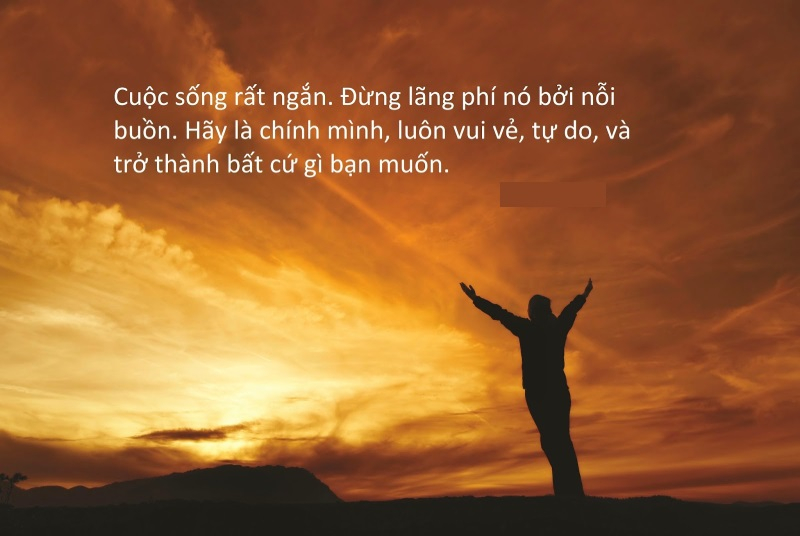 Những Câu Nói Hay Về Sự Cống Hiến Gallery 1