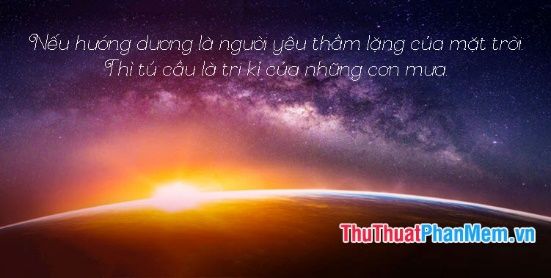 Những Câu Nói Hay Về Ngôi Sao Trên Trời Gallery 1