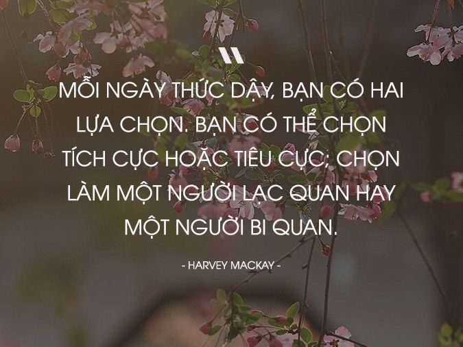Những Câu Nói Hay Về Sự Lựa Chọn Và Ý Nghĩa Của Chúng Gallery 1
