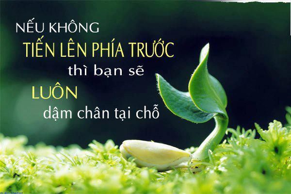 Những Câu Nói Hay Về Nghề Nghiệp: Lời Khích Lệ Và Cảm Hứng Trên Con Đường Sự Nghiệp Gallery 1