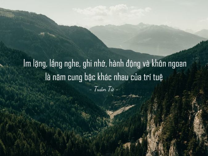 Những Câu Nói Hay Về Sự Thấu Hiểu Gallery 2