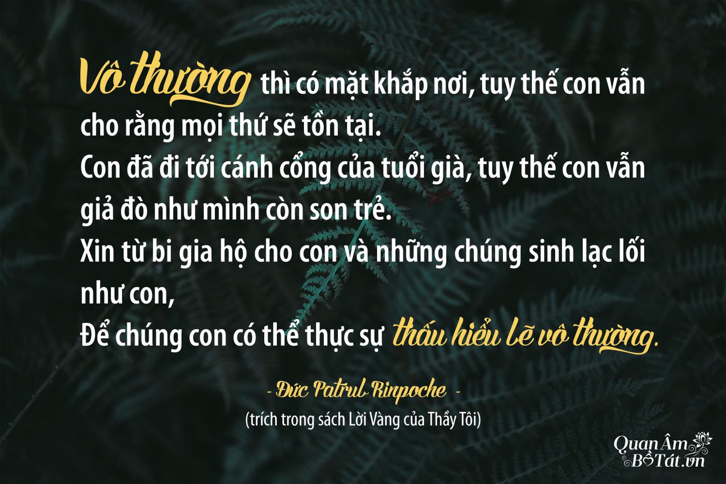 Những Câu Nói Hay Về Cái Chết - Suy Ngẫm Về Cuộc Sống Gallery 1