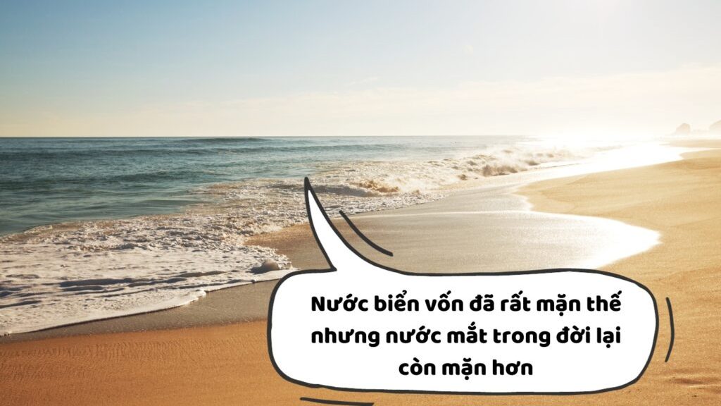 Những Câu Nói Hay Về Sóng Biển Gallery 1