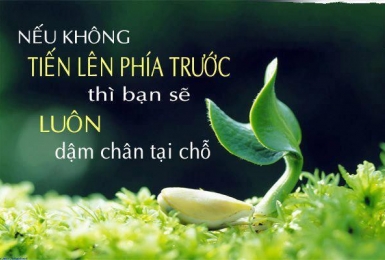 Những Câu Nói Hay Và Ý Nghĩa Về Cuộc Sống Gallery 1