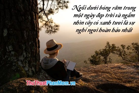 Những Câu Nói Hay Về Thiên Nhiên Và Con Người