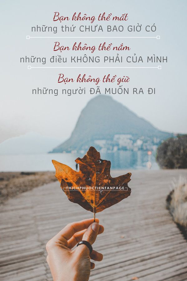 Những Câu Nói Hay Về Tình Yêu Đến Muộn