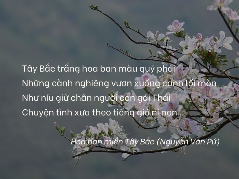 STT Hay Về Tây Bắc - Câu Nói Hay Về Vẻ Đẹp Tây Bắc Gallery 2