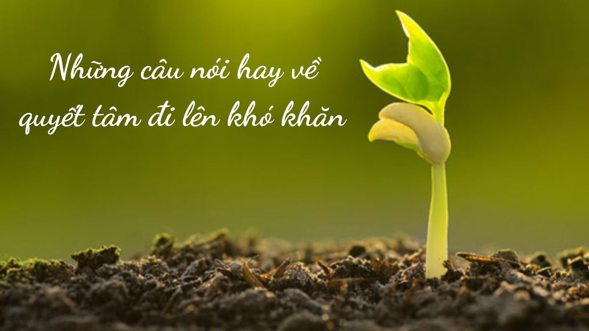 Những Câu Nói Hay Về Ý Chí Quyết Tâm