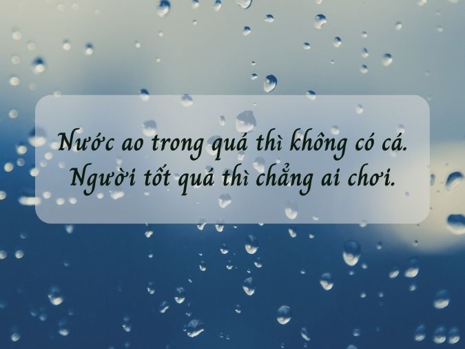 Những Câu Nói Khịa Bạn Bè Hay Nhất, Chắc Chắn Khiến Bạn Cười Ngất Gallery 1