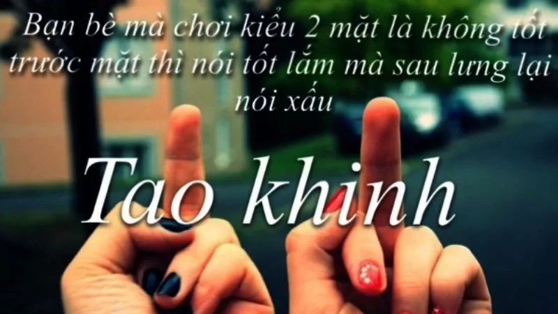 Những câu nói khinh bỉ hay nhất ngắn gọn Gallery 2