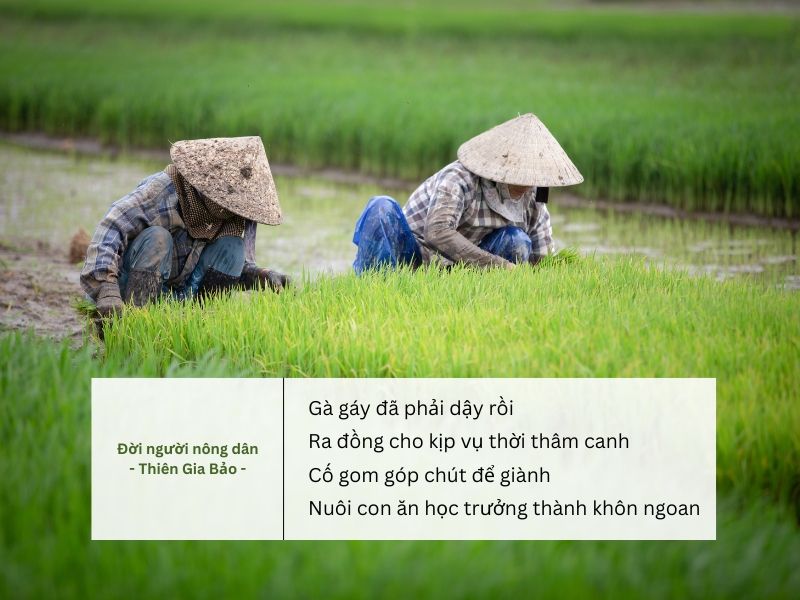 Những Câu Nói Hay Về Người Nông Dân Gallery 1