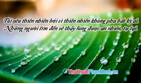Câu nói hay về thiên nhiên trong văn học Gallery 2