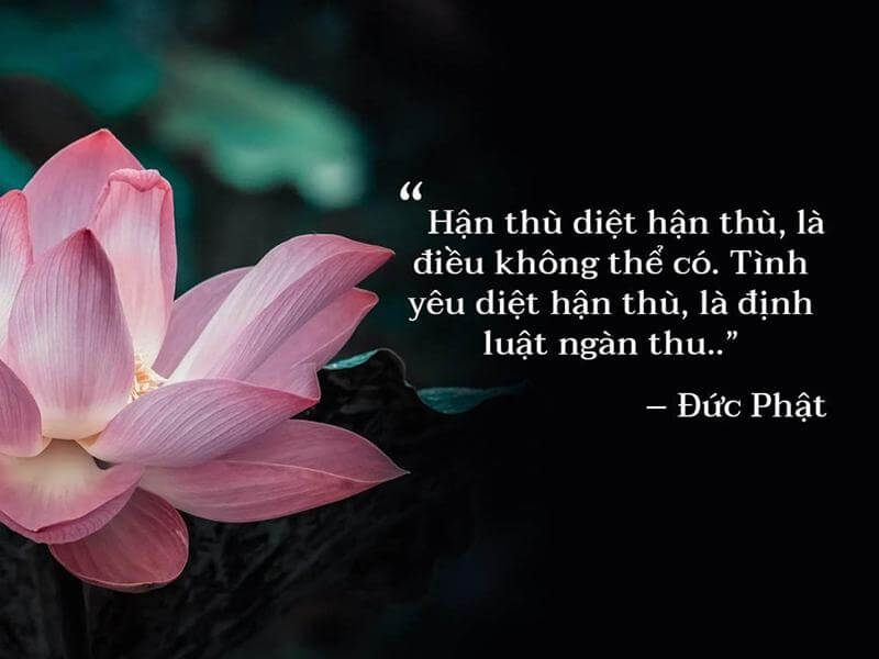 Những Câu Nói Hay Về Phật Pháp Tu Tâm Giữ Tính Gallery 2