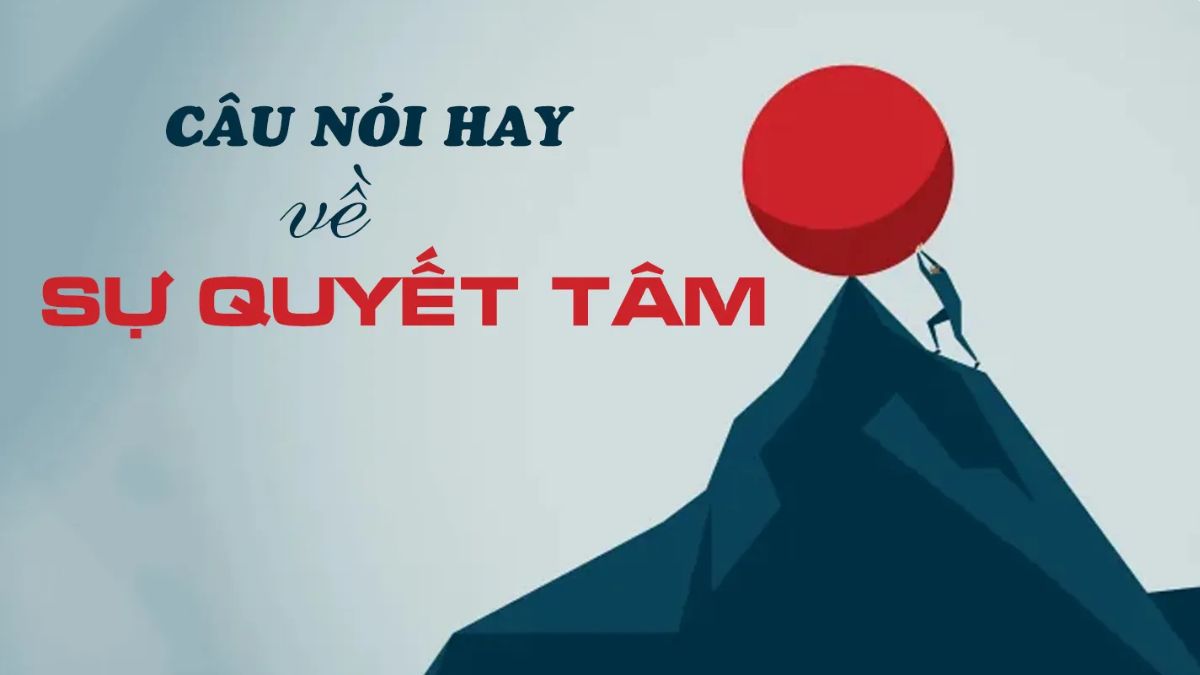 Những Câu Nói Quyết Tâm Đỗ Đại Học Thắp Lửa Niềm Tin Gallery 2