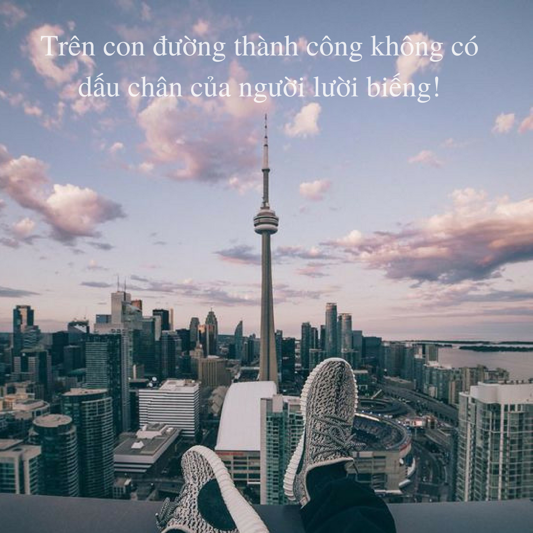 Những Câu Nói Quyết Tâm Đỗ Đại Học Thắp Lửa Niềm Tin Gallery 1