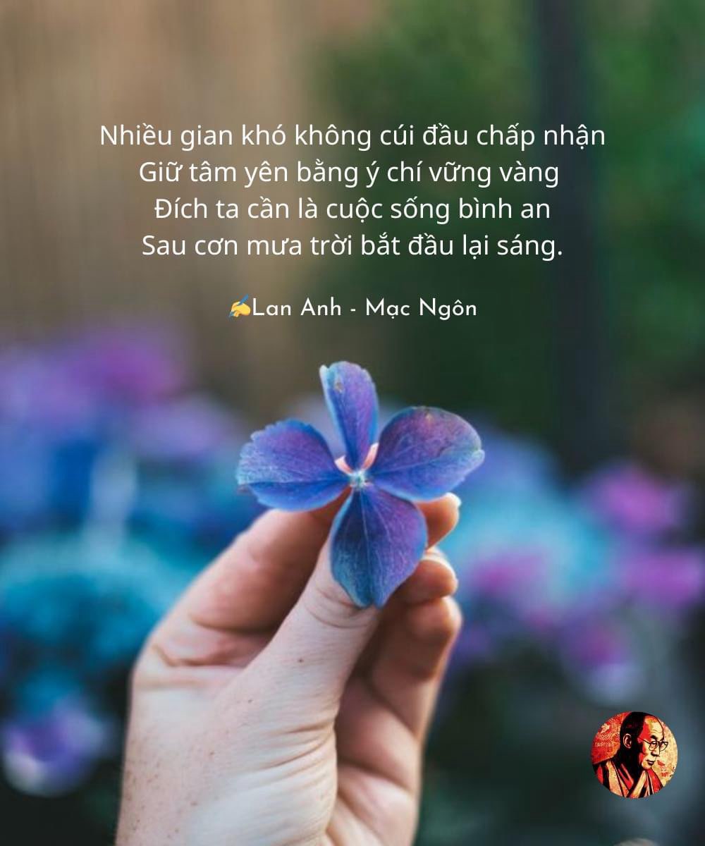 Những Câu Nói Sau Cơn Mưa Trời Lại Sáng
