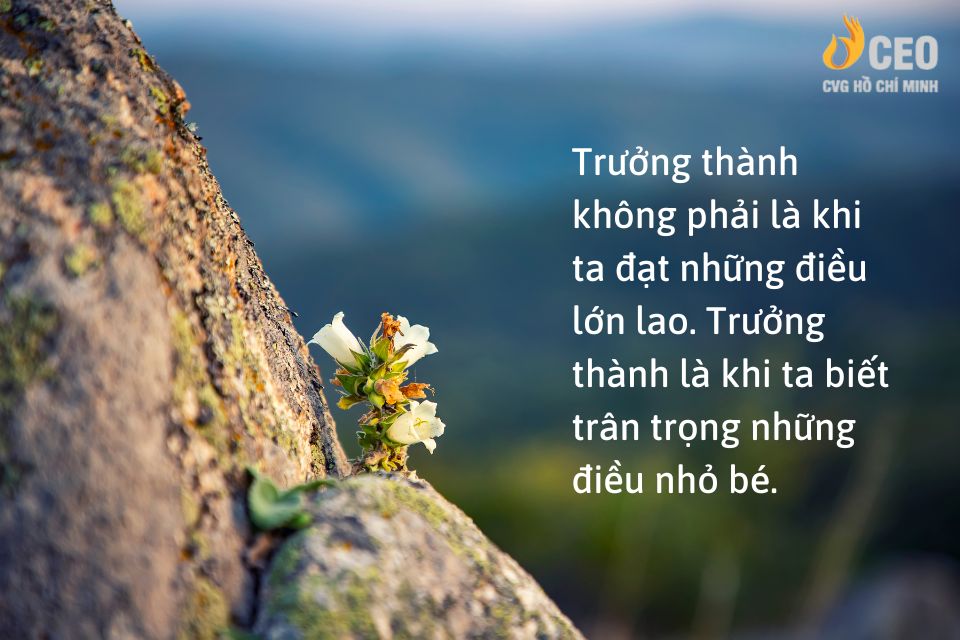 Những câu nói hay về sự bất công trong công việc Gallery 1