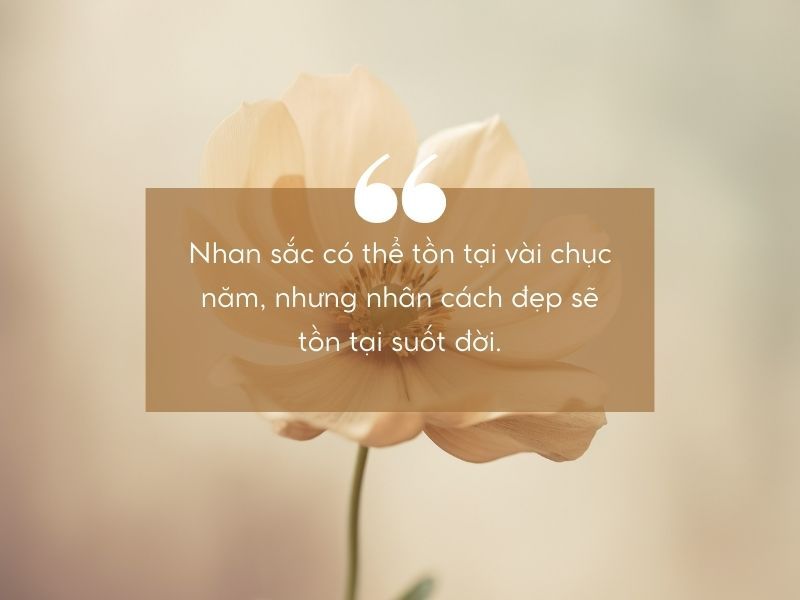Những Câu Nói Hot Trend 2023 -  "Cày Cuốc Là Chính" và Nhiều Hơn Thế! Gallery 2