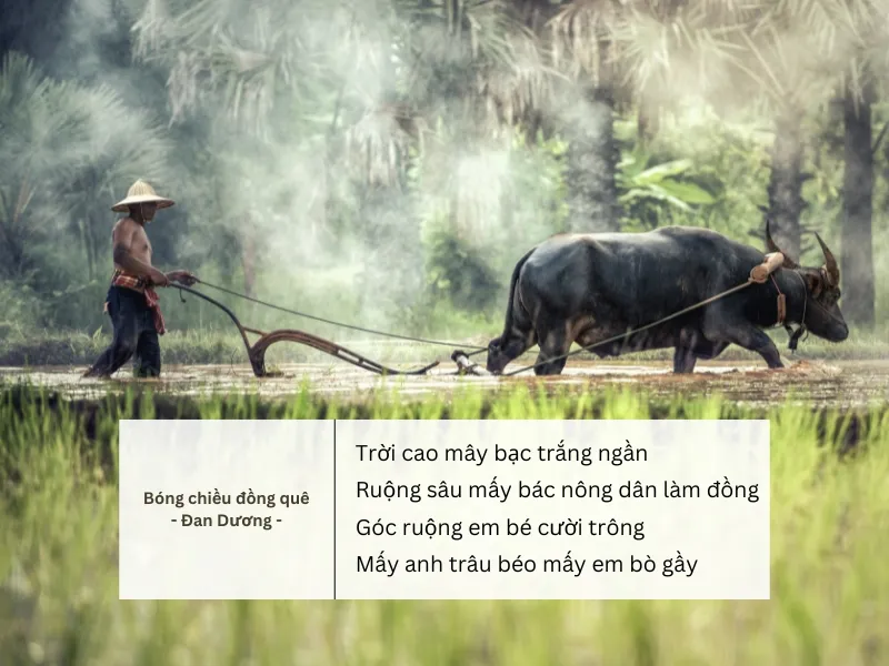 Những Câu Nói Hay Về Người Nông Dân Gallery 2