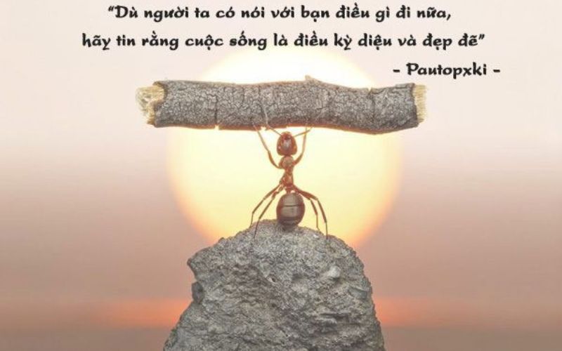 Những Câu Nói Tích Cực Cho Ngày Mới Đầy Năng Lượng Gallery 1