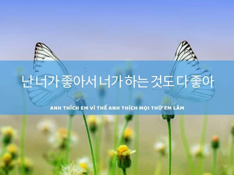 Những Câu Nói Tiếng Hàn Hay Về Bản Thân Gallery 2