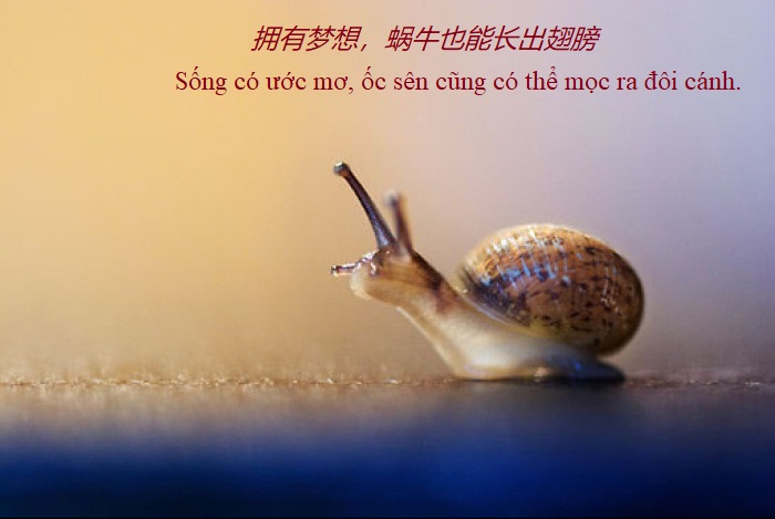 Những Câu Nói Tiếng Trung Hay Về Ước Mơ